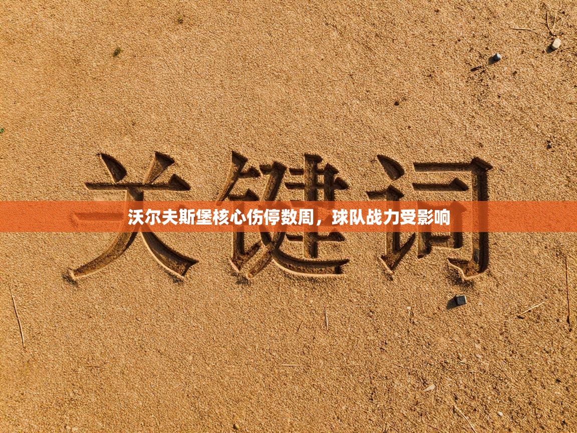 沃尔夫斯堡核心伤停数周，球队战力受影响  第2张