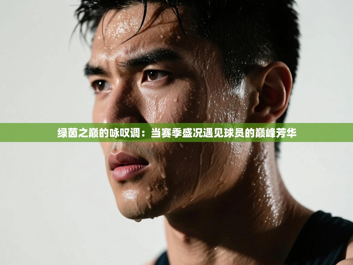 绿茵之巅的咏叹调：当赛季盛况遇见球员的巅峰芳华  第2张