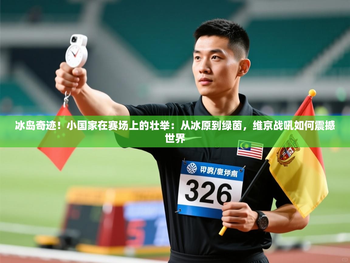 冰岛奇迹！小国家在赛场上的壮举：从冰原到绿茵，维京战吼如何震撼世界  第2张