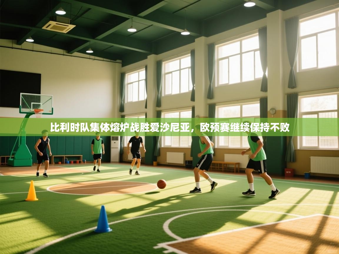 比利时队集体熔炉战胜爱沙尼亚,欧预赛继续保持不败 第2张