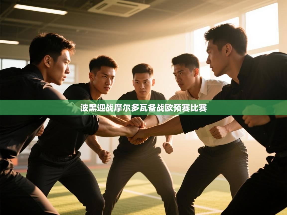 波黑迎战摩尔多瓦备战欧预赛比赛  第2张