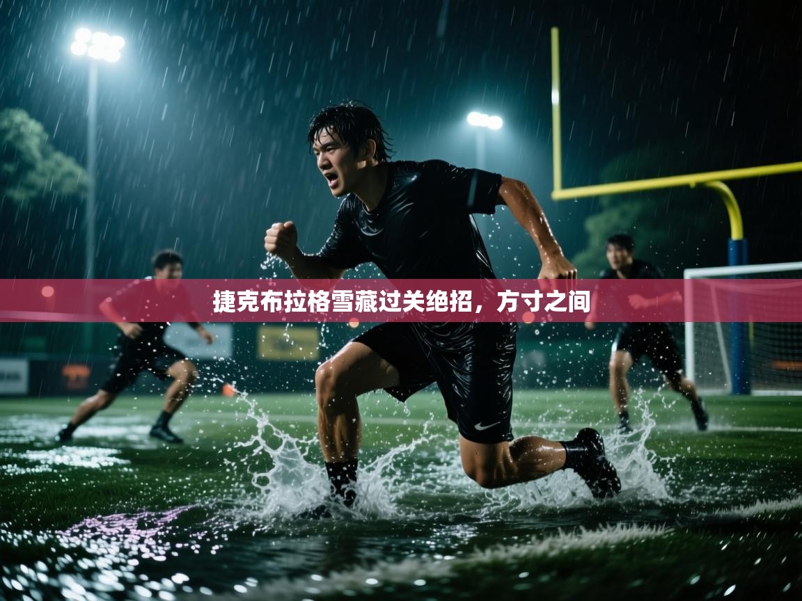捷克布拉格雪藏过关绝招，方寸之间  第1张