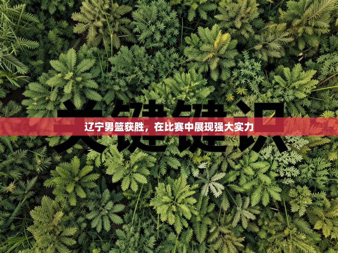 辽宁男篮获胜,在比赛中展现强大实力 第1张